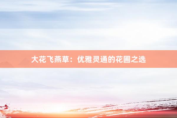 大花飞燕草：优雅灵通的花圃之选